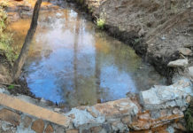 Andalucía planifica medidas de emergencia para contar con una red de puntos de agua para la fauna