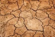 La Junta aprueba su IV Decreto de Sequía