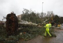 Emergencias 112 atiende más de 300 incidencias en Andalucía por el temporal
